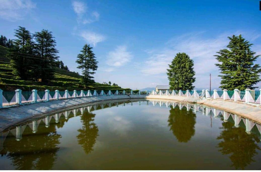 Norvin Homes Shimla Luaran gambar