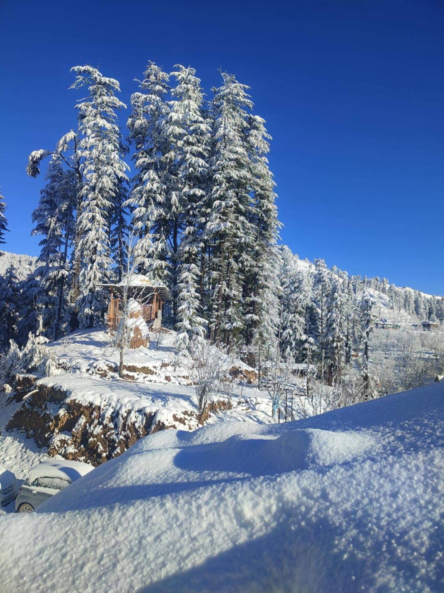 Norvin Homes Shimla Luaran gambar