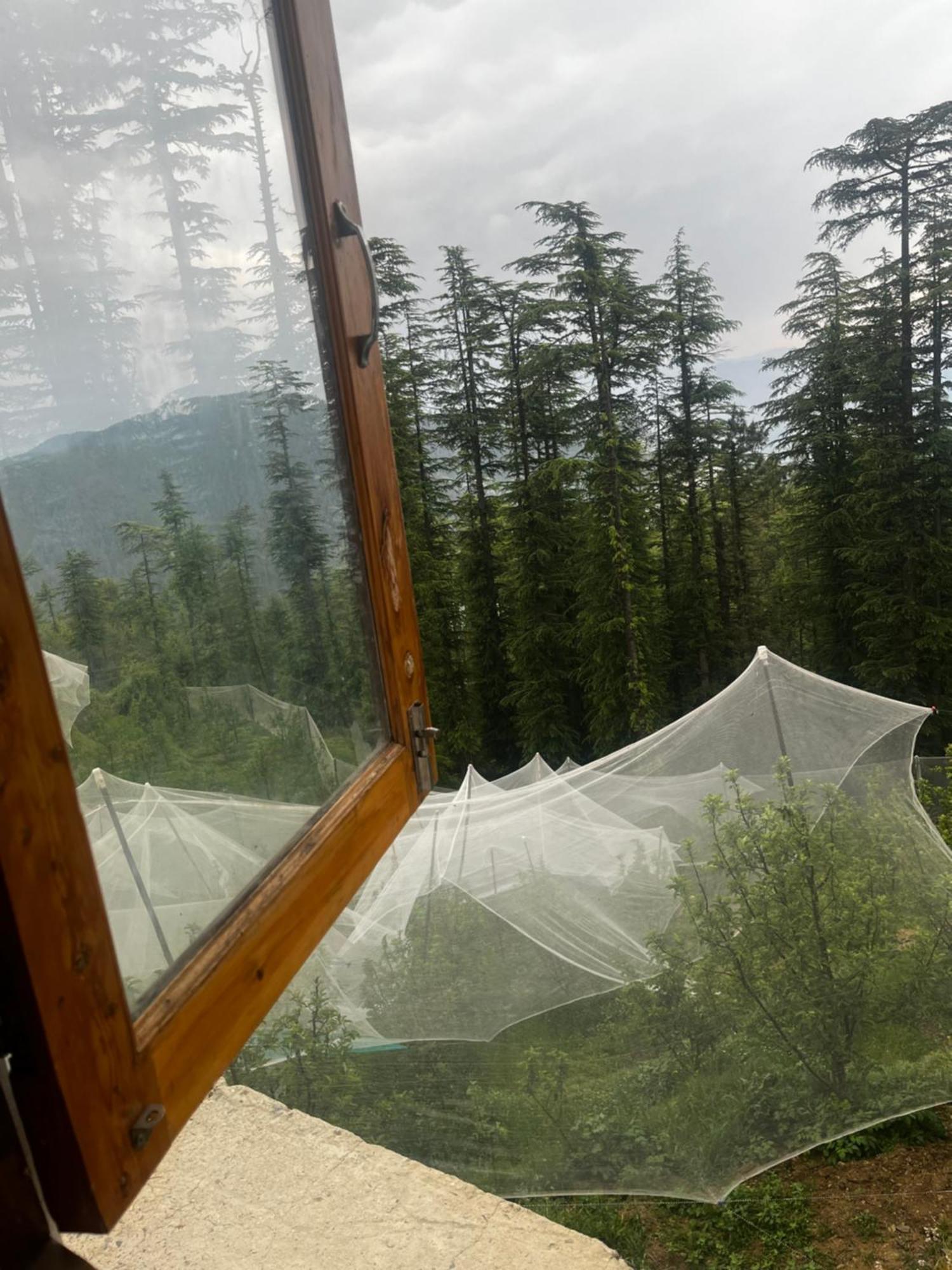 Norvin Homes Shimla Luaran gambar