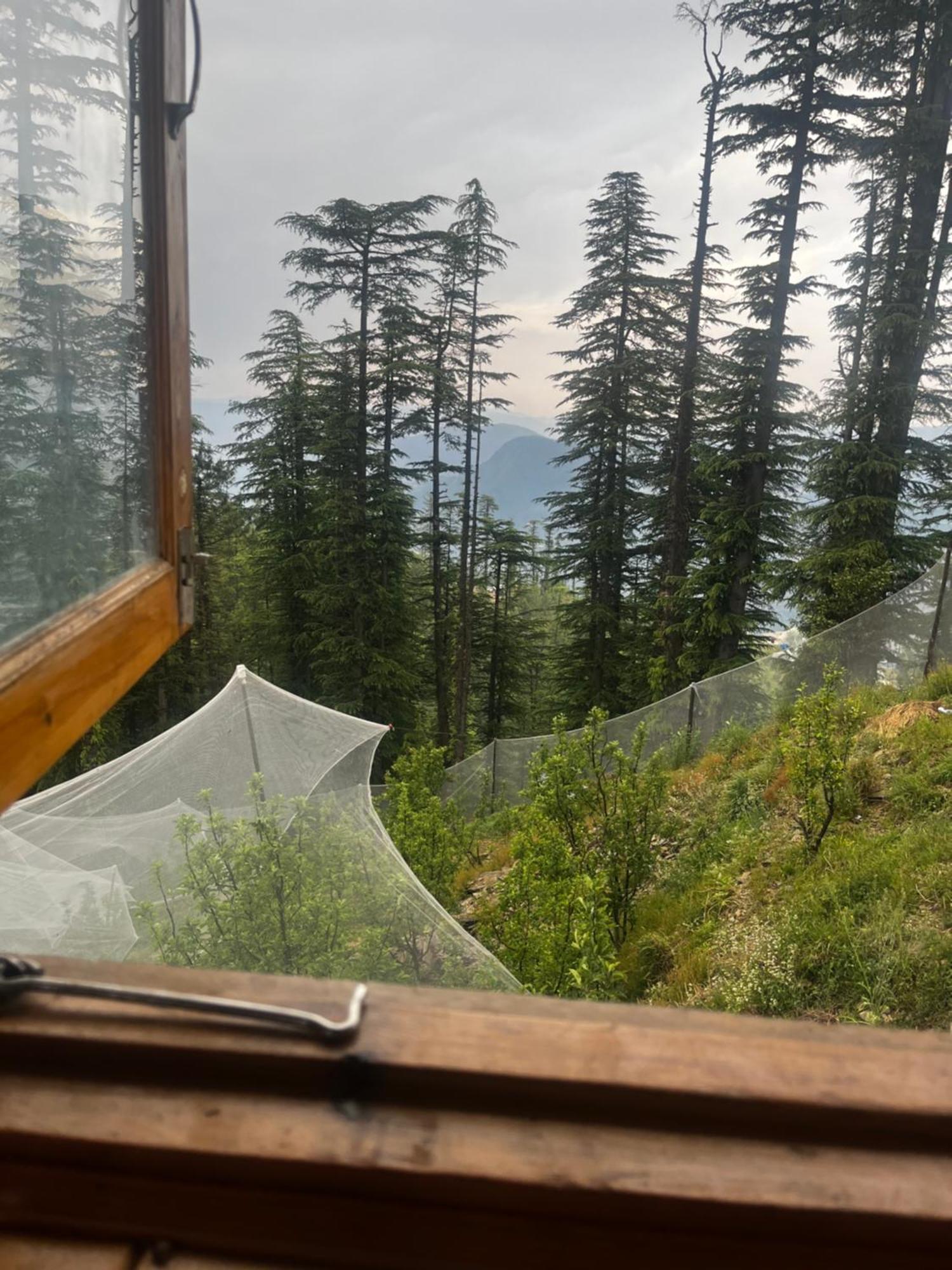 Norvin Homes Shimla Luaran gambar