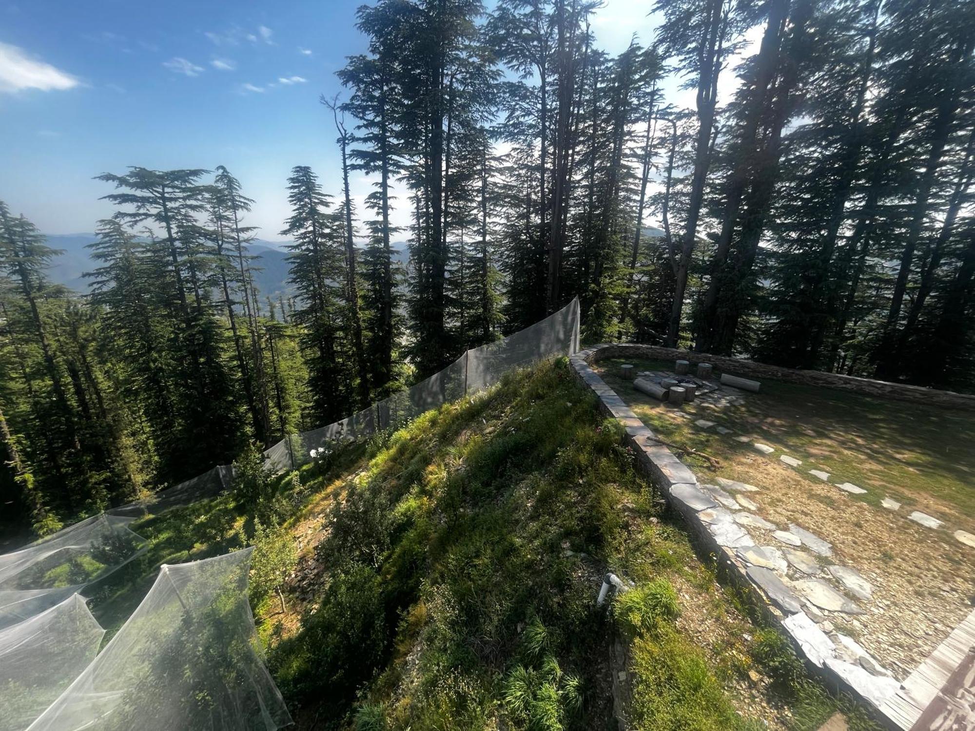 Norvin Homes Shimla Luaran gambar