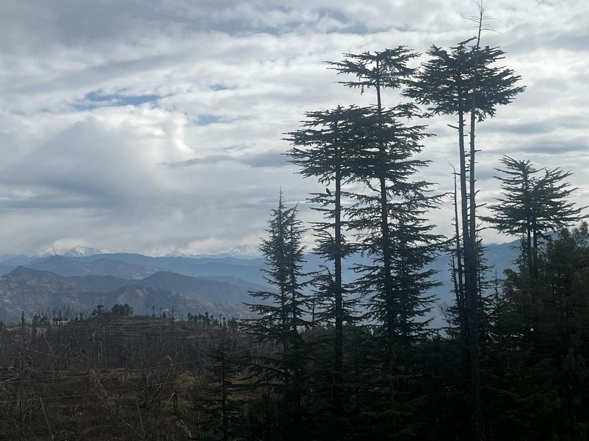 Norvin Homes Shimla Luaran gambar